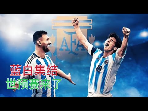 斯卡洛尼盼,世界杯晋级,欢愉,北京单场官网,彩票平台,在线投注,单场赛事,彩票分析