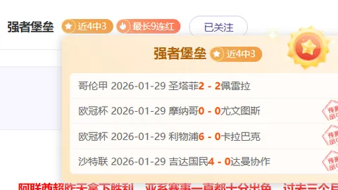“伤病连连，帕尔梅拉斯逆境中收获坚定拥趸？揭秘球队顽强精神！”